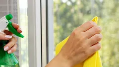 Come prolungare la durata della zanzariera con una pulizia corretta